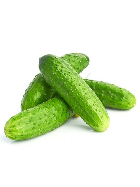 Buy Now Cucumber 