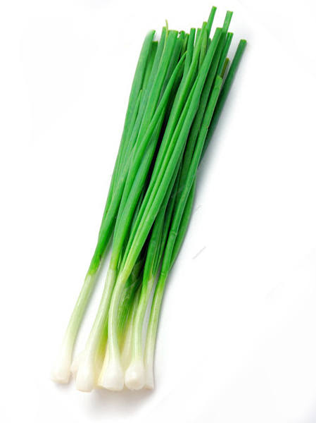 Buy Now Garlic young 