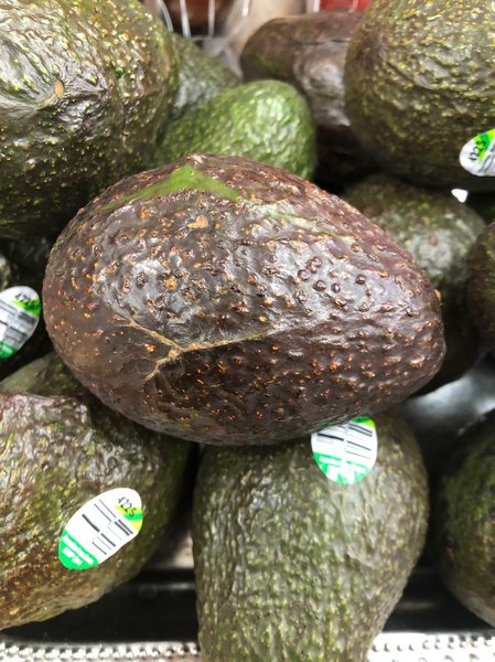 Buy Now Avocado 