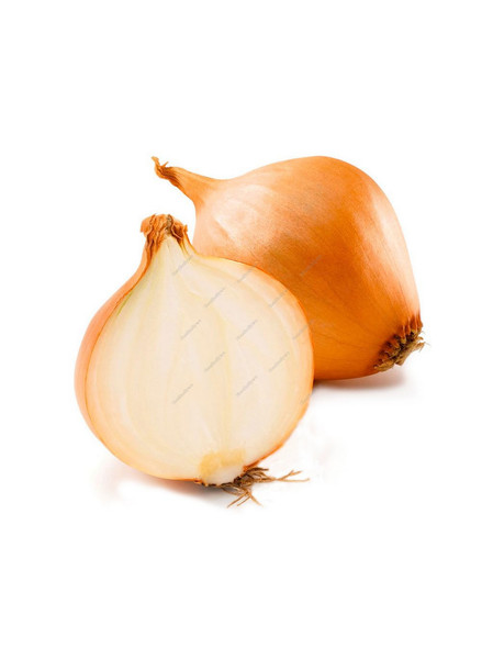 Buy Now Onion Yellow