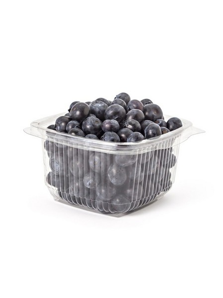 Buy Now Blueberry 
