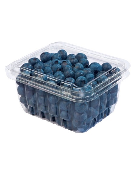 Buy Now Blueberry