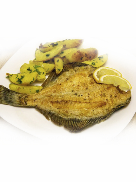 Buy Now Gloss Flounder Fried 