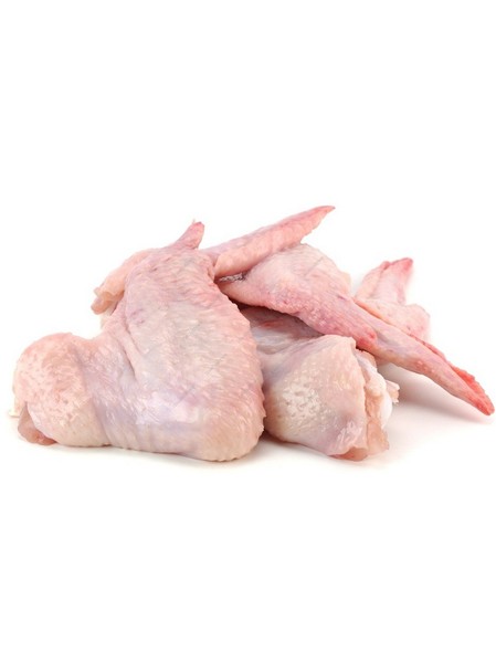 Buy Now Chicken Airliners 