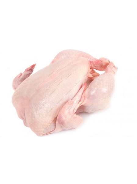 Buy Now Chickens Whole 