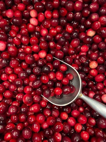 Buy Now Cranberries 