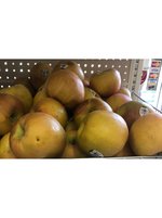 Apples Yellow Honey Crisp 